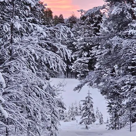 Aurora Welcome Newly Built Riverside וילה