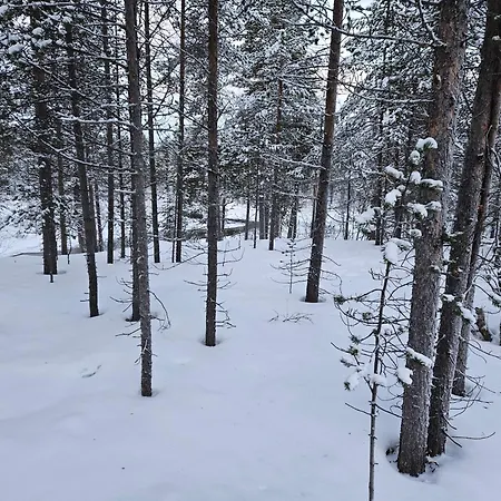 וילה Aurora Welcome Newly Built Riverside Sevettijärvi