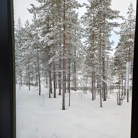 Aurora Welcome Newly Built Riverside Villa Sevettijärvi