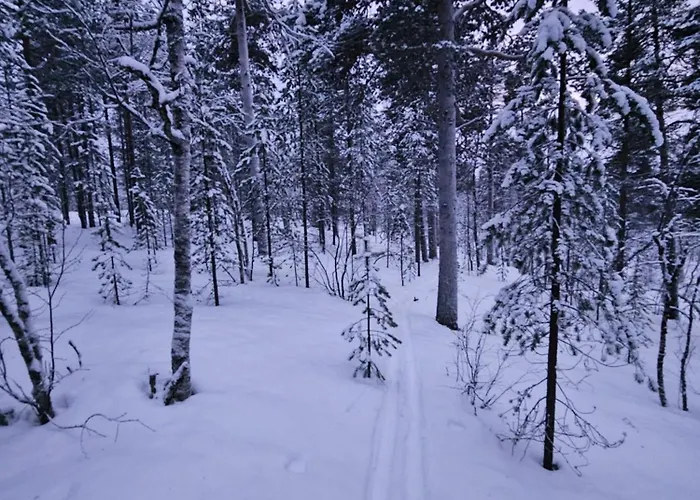 Aurora Welcome Newly Built Riverside *