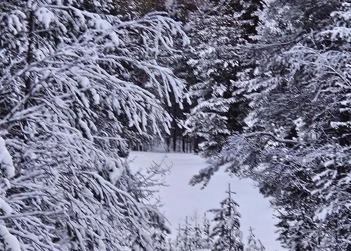 Aurora Welcome Newly Built Riverside 别墅