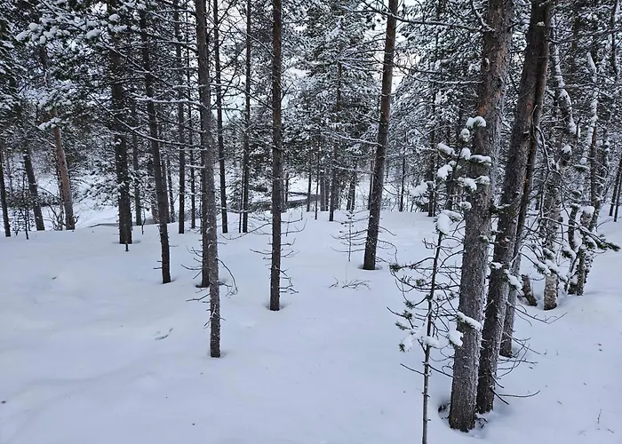 别墅 Aurora Welcome Newly Built Riverside Sevettijärvi